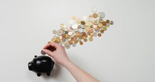 Türkiye Merkez Bankası para politikası ve enflasyon 2026